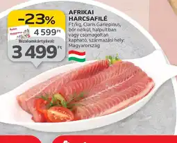 Auchan Afrikai Harcsafilé ajánlat