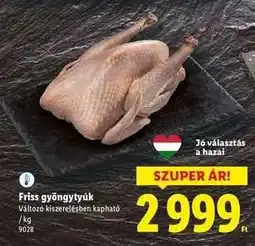 Lidl Friss gyöngytyúk ajánlat
