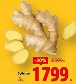 Lidl Gyömbér ajánlat