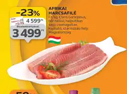 Auchan Afrikai Harcsafilé ajánlat
