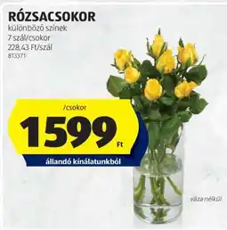 ALDI RÓZSACSOKOR ajánlat