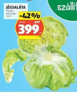 ALDI Jégsaláta ajánlat