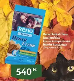 EcoFamily Reno Dental Clean ajánlat