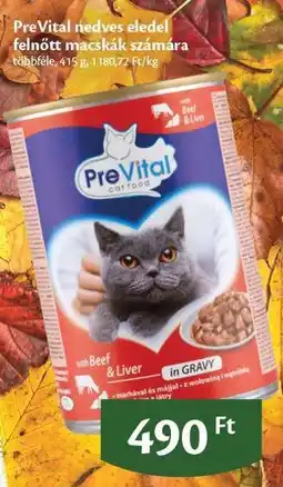 EcoFamily PreVital nedves eledel felnőtt macskák számára ajánlat