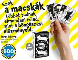 Tedi Tarot-kártya ajánlat
