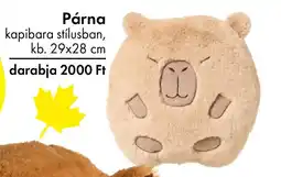 Tedi Párna kapibara ajánlat