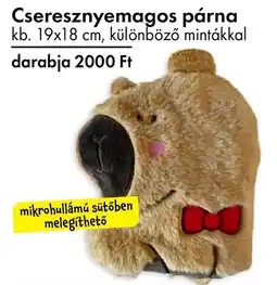 Tedi Cseresznyemagos párna ajánlat