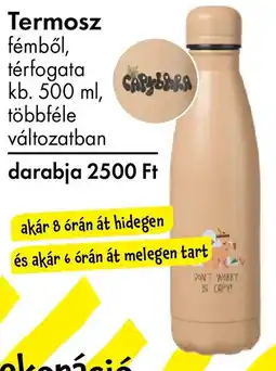 Tedi Termosz ajánlat