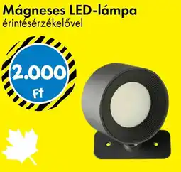Tedi Mágneses LED-lámpa ajánlat