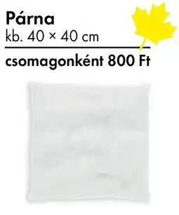 Tedi Párna ajánlat