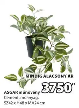 JYSK ASGAR műnövény ajánlat