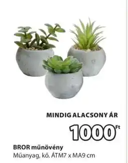 JYSK BROR műnövény ajánlat