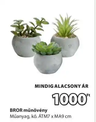 JYSK BROR műnövény ajánlat