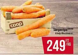 Coop Sárgarépa ajánlat