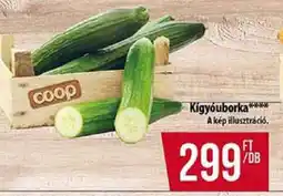 Coop Kígyóuborka ajánlat