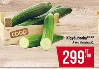 Coop Kígyóuborka ajánlat