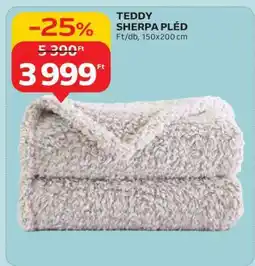 Auchan TEDDY SHERPA PLÉD ajánlat