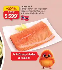 Auchan Lazacfilé ajánlat