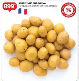 Auchan SERPENYŐS BURGONYA ajánlat