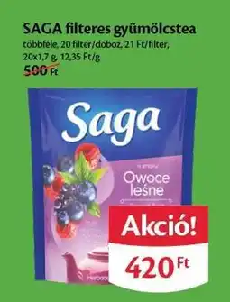 EcoFamily Saga filteres gyümölcstea ajánlat