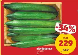 PENNY Kígyóuborka ajánlat