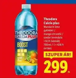 Lidl Theodora Calcia plus ajánlat