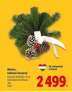Lidl Mohás, tobozos koszorú ajánlat