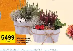 Tesco Mindenszentek virágkompozíci ajánlat