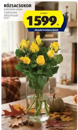 ALDI Rózsacsokor ajánlat