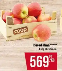 Coop Idared alma ajánlat