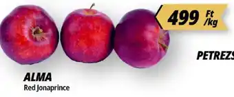 Alma Red jonaprince