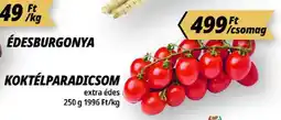 Príma Koktélparadicsom ajánlat