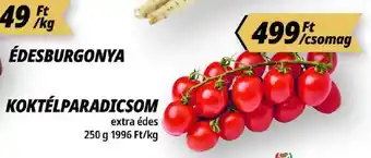 Koktélparadicsom
