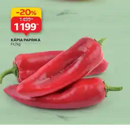 Auchan KÁPIA PAPRIKA ajánlat