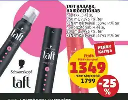 PENNY TAFT HAJLAKK, HAJRÖGZÍTŐHAB ajánlat
