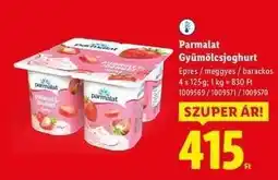 Lidl Parmalat Gyümölcsjoghurt ajánlat
