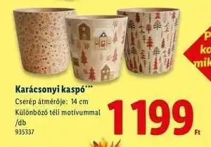 Lidl Karácsonyi kaspó ajánlat