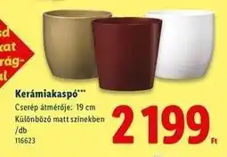 Lidl Kerámiakaspo ajánlat