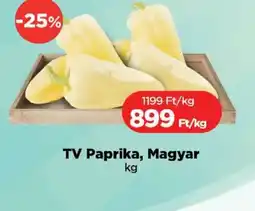 Real TV Paprika, Magyar ajánlat