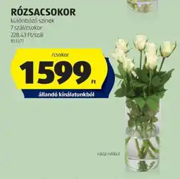 ALDI RÓZSACSOKOR ajánlat