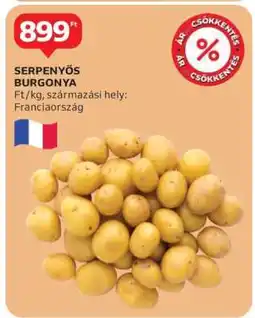 Auchan SERPENYŐS BURGONYA ajánlat