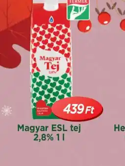 Real Magyar ESL tej ajánlat