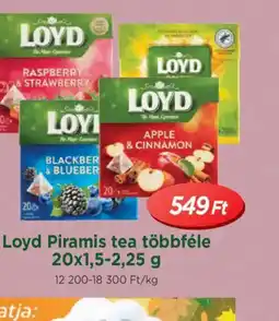 Real Loyd Piramis tea ajánlat