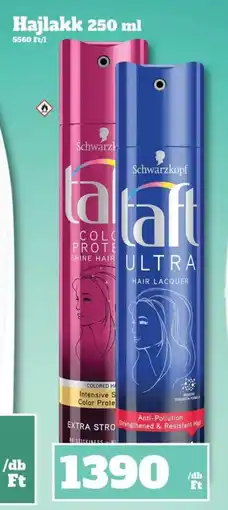 Vil-For Hajlakk ajánlat