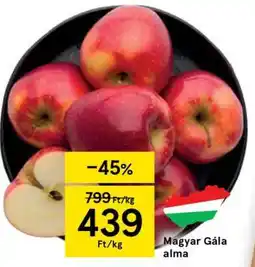 Tesco Magyar gála alma ajánlat
