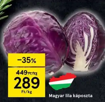 Tesco Magyar lila káposzta ajánlat