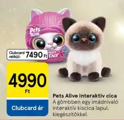 Tesco Pets Alive Interaktív cica ajánlat