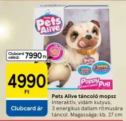 Tesco Pets Alive táncoló mopsz ajánlat
