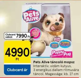 Tesco Pets Alive táncoló mopsz ajánlat