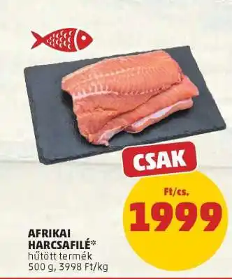 Afrikai Harcsafilé